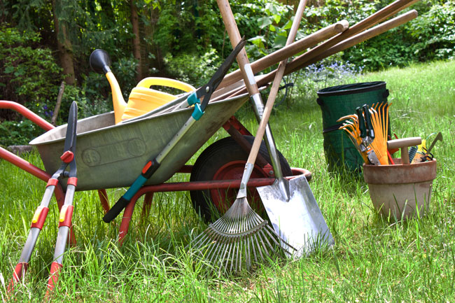 Den Garten pflegen – mit dem richtigen Werkzeug