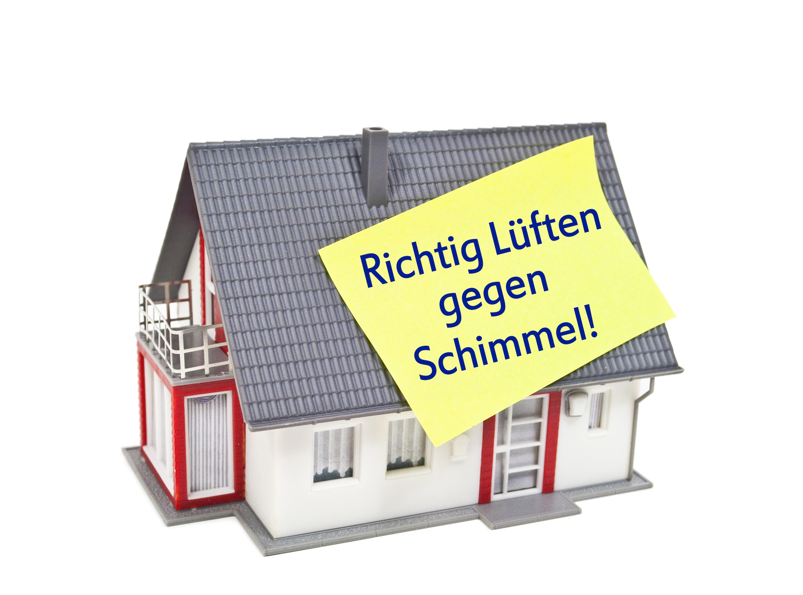 Schimmel im Neubau