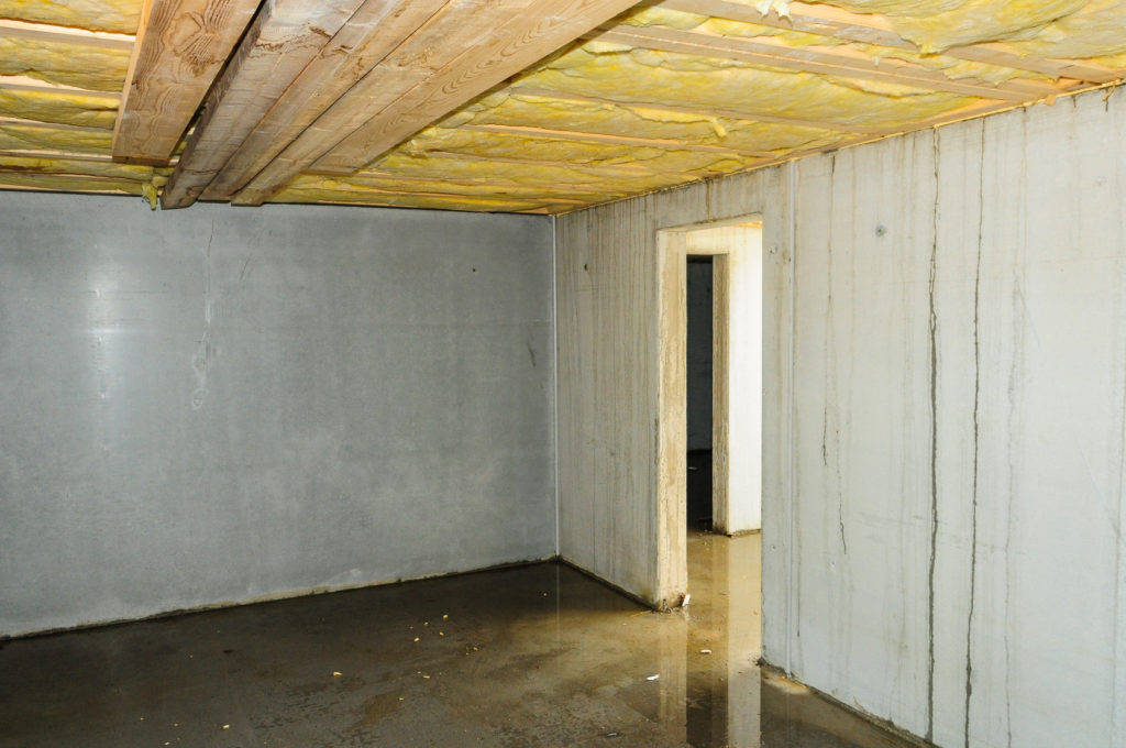Schimmel im Neubau | Infoportal zum Thema Haus