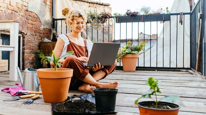 Gewächshaus am Balkon: Diese Voraussetzungen müssen erfüllt sein