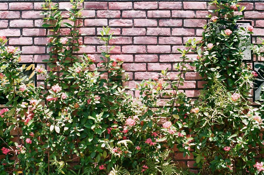 DIY-Gartenmauer – das müssen Sie beachten