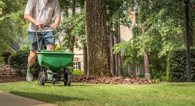 neuer Garten? – Tipps zur Rasenpflege