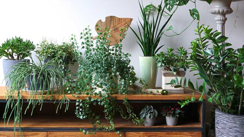 Highboard Industrial