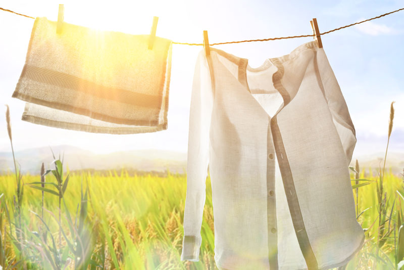 Nachhaltig waschen und trocknen: So geht’s!