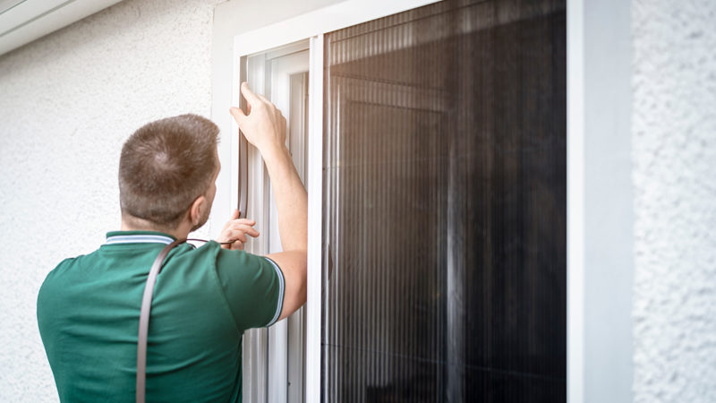 Die Fliegengitter Balkontür als Lösung für Insektenprobleme bei Hausbesitzern