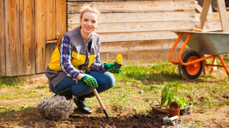Gartenglück leicht gemacht: Unverzichtbares Gartenzubehör für Hobbygärtner